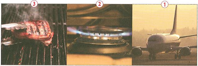 (בספר איור של נורה בתוך בית נורה)